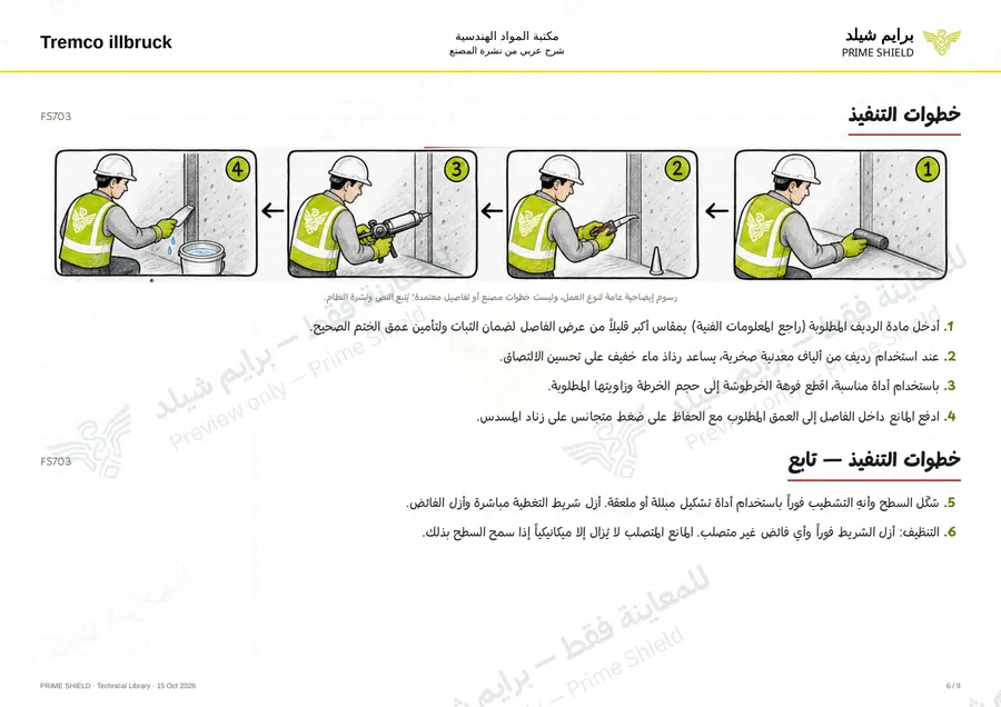 Page 6 of 13 — FS703 — Arabic explanation