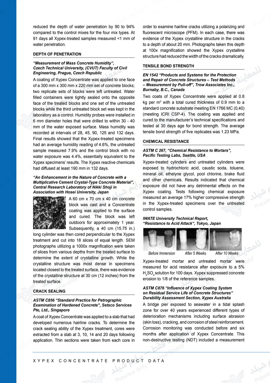 الصفحة 11 من 13 — Xypex Concentrate — النشرة الرسمية (EN)