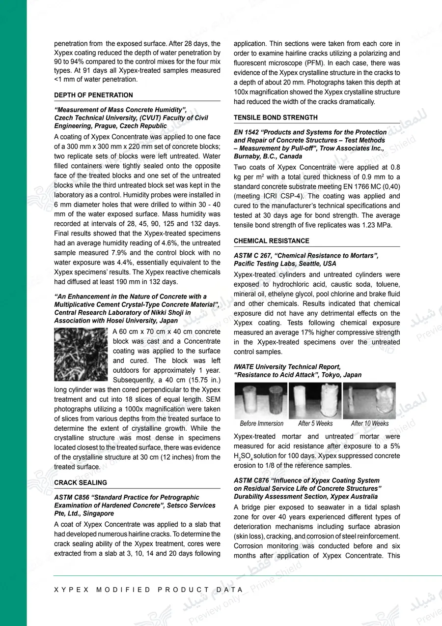 Page 11 of 13 — Xypex Modified — Official sheet (EN)